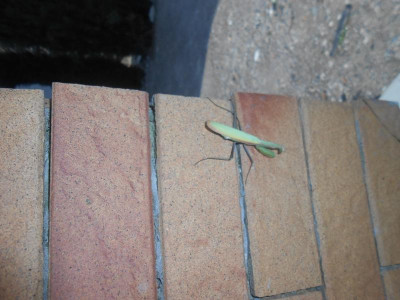 DSCN3013.JPG