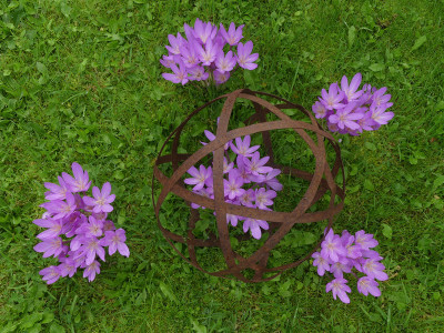 2021-09-12 Colchicum 2.jpg
