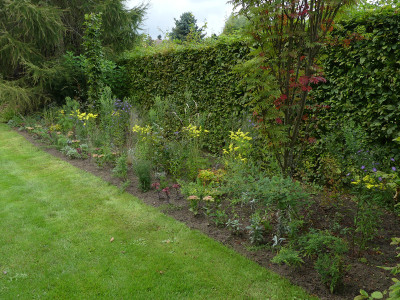 2021-09-12 Garteneinblick 6.jpg