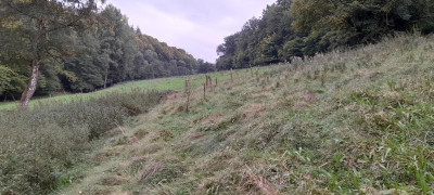 20210912_182621.jpg