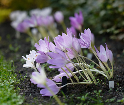 DSC_2892_DxO.jpg