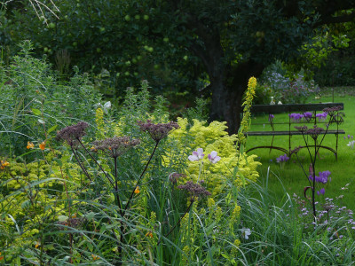 2021-09-14 Gartenimpressionen 1.jpg