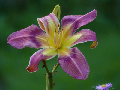 2021_0915SeptemberMitte0039.jpg
