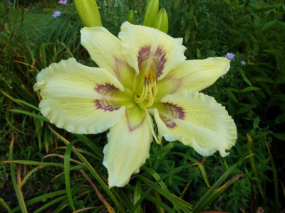 2021_0915SeptemberMitte0015.jpg