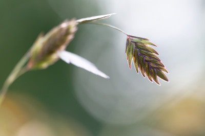 DSC_2928_DxO.jpg