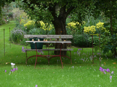 2021-09-16 Gartenimpressionen 1.jpg