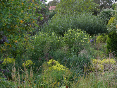 2021-09-16 Gartenimpressionen 4.jpg