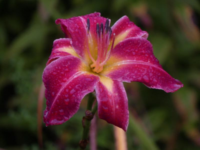 2021_0915SeptemberMitte0121.JPG
