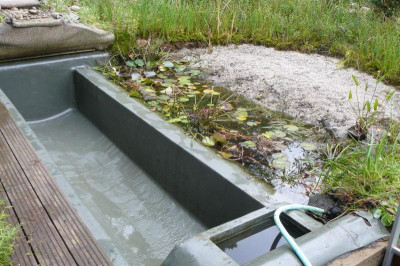 Teich1.jpg