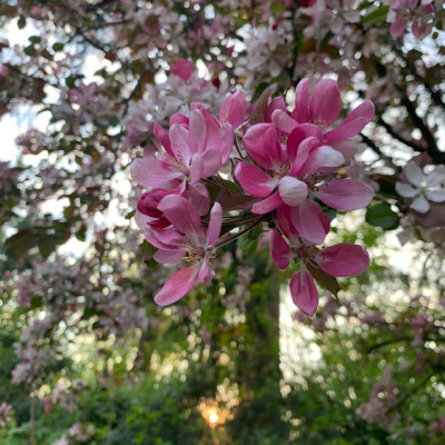 IMG_6800.jpg