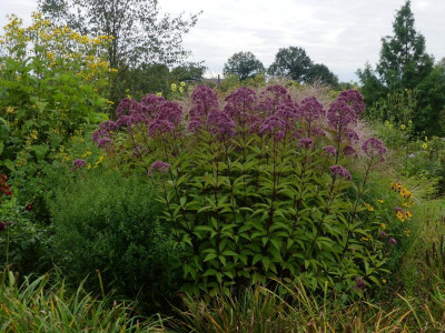 2021_0920SeptemberMitte10077.JPG
