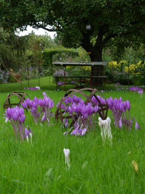 2021-09-20 Gartenimpressionen 11.jpg