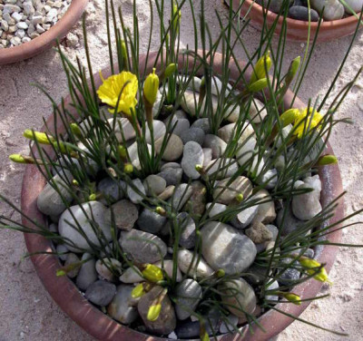 2008-02-10_015.JPG