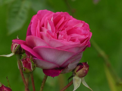 2021_0920SeptemberMitte10047.jpg