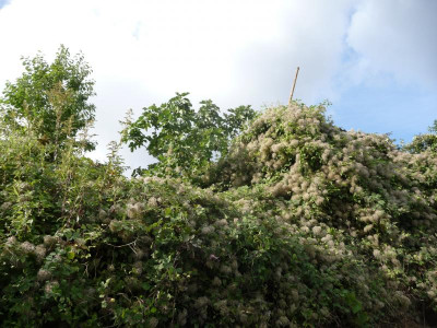 P1080501.JPG