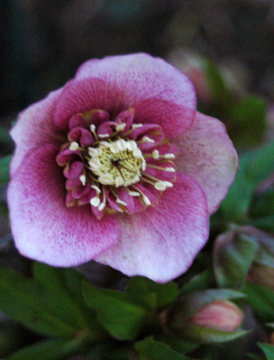 noname7979.jpg