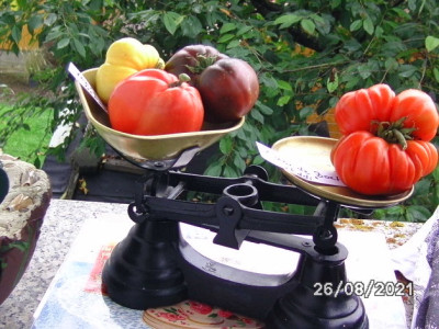 BILD0580.jpg