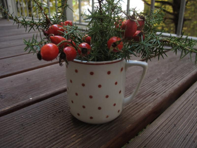 buttenwacholder1.img.JPG