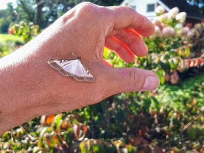 20210925_110206.jpg