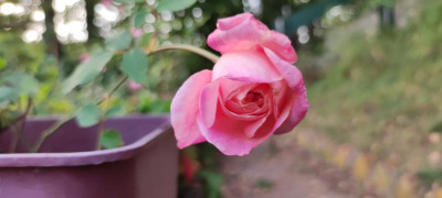 IMG_20210925_183905.jpg
