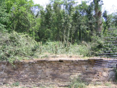 Hangrodung04.jpg