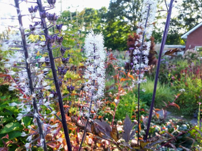 20210925_164846.jpg