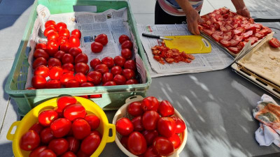 Tomaten zum trocknen.jpg