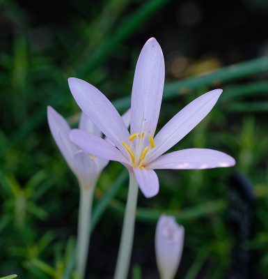 DSC_3022_DxO.jpg