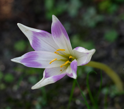 DSC_3024_DxO.jpg