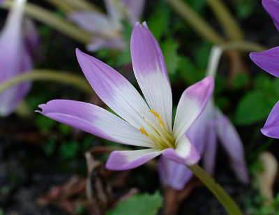 DSC_3029_DxO.jpg