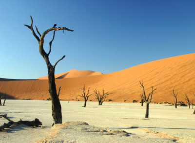 Sossuvlei_garten-pur.JPG