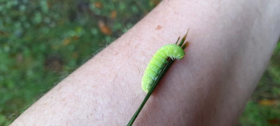 20210926_103421.jpg