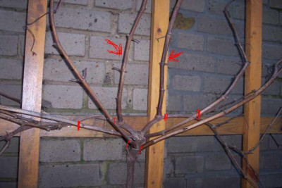 K640_100_4817.JPG