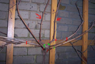 K640_100_4817.jpg