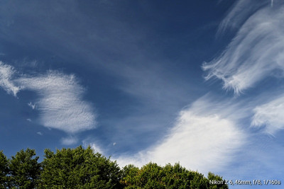 _DSC2482-01.jpeg