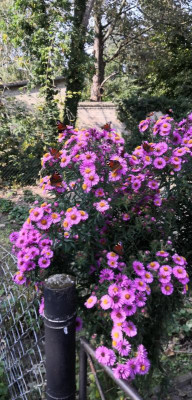 IMG_20210926_132949.jpg