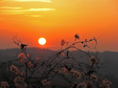 SUNSET_II_DI_120208.jpg