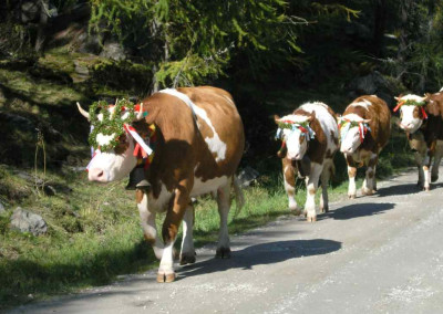Almabtrieb.jpg
