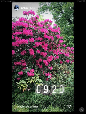 IMG_0331.PNG