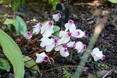 DSC_3045_DxO.jpg