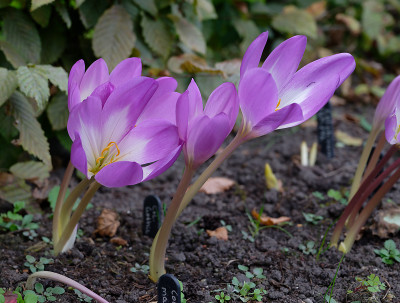 DSC_3056_DxO.jpg