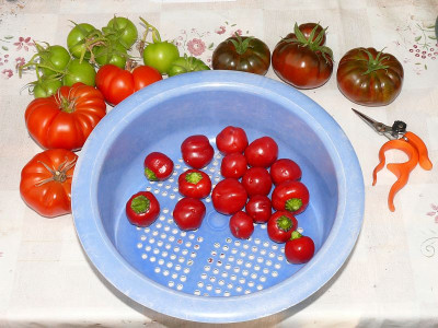 211002_Erntefoto.jpg