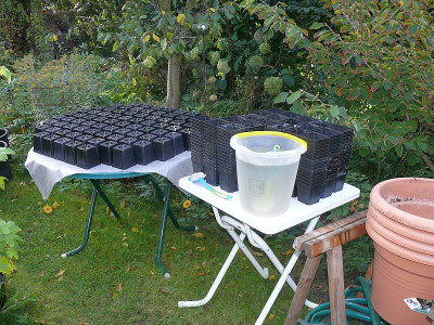 211002_Der große Abwasch_2.jpg