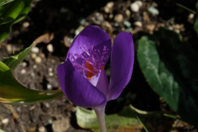 DSCF5194.JPG