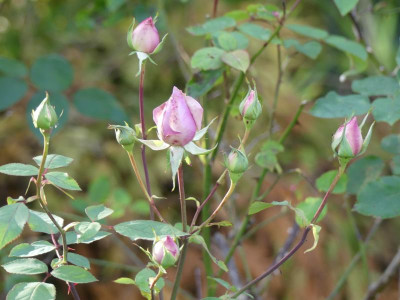 2021_0930OhtoberAnfang0041.JPG