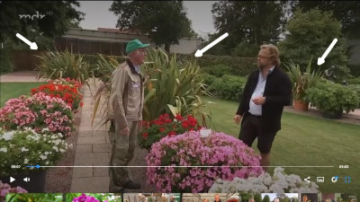 mdr_garten.jpg