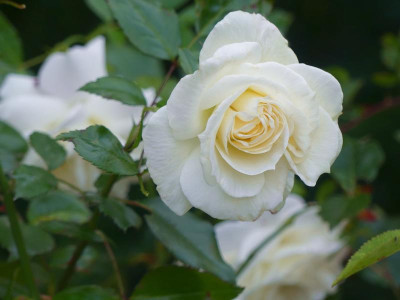 2021_0930OhtoberAnfang0044.jpg