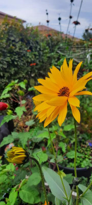 20211003_105033.jpg