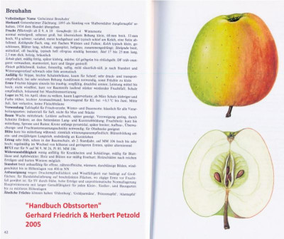 Breuhahn - Handbuch-Obstsorten_Petzold & Friedrich_2005.jpg