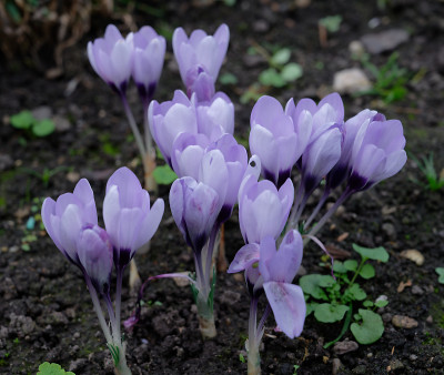 DSC_3082_DxO.jpg